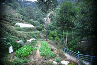 Photo gallery of Kakani Homestay | The best accommodation in Kakani